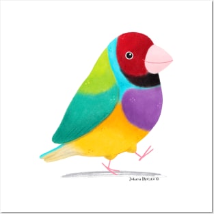 Gouldian Finch Bird Posters and Art